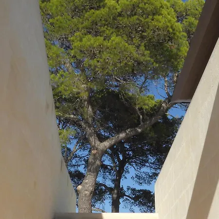 Al Cappuccino Vecchio בית הארחה