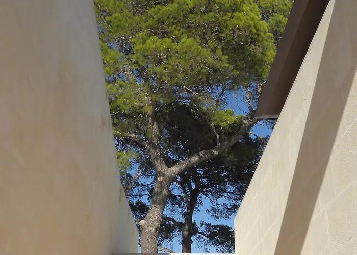 Al Cappuccino Vecchio Affittacamere